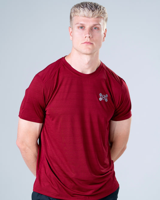 Men Muscle Fit Performance T-shirt Dark Red